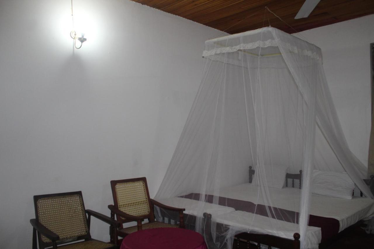 Lazy Bear Best Hostel In Kandy Luaran gambar