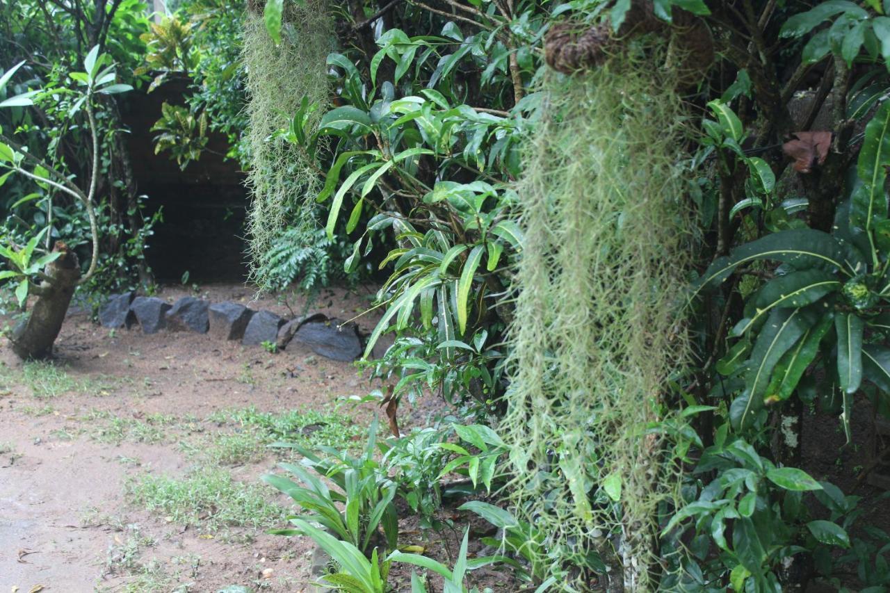 Lazy Bear Best Hostel In Kandy Luaran gambar