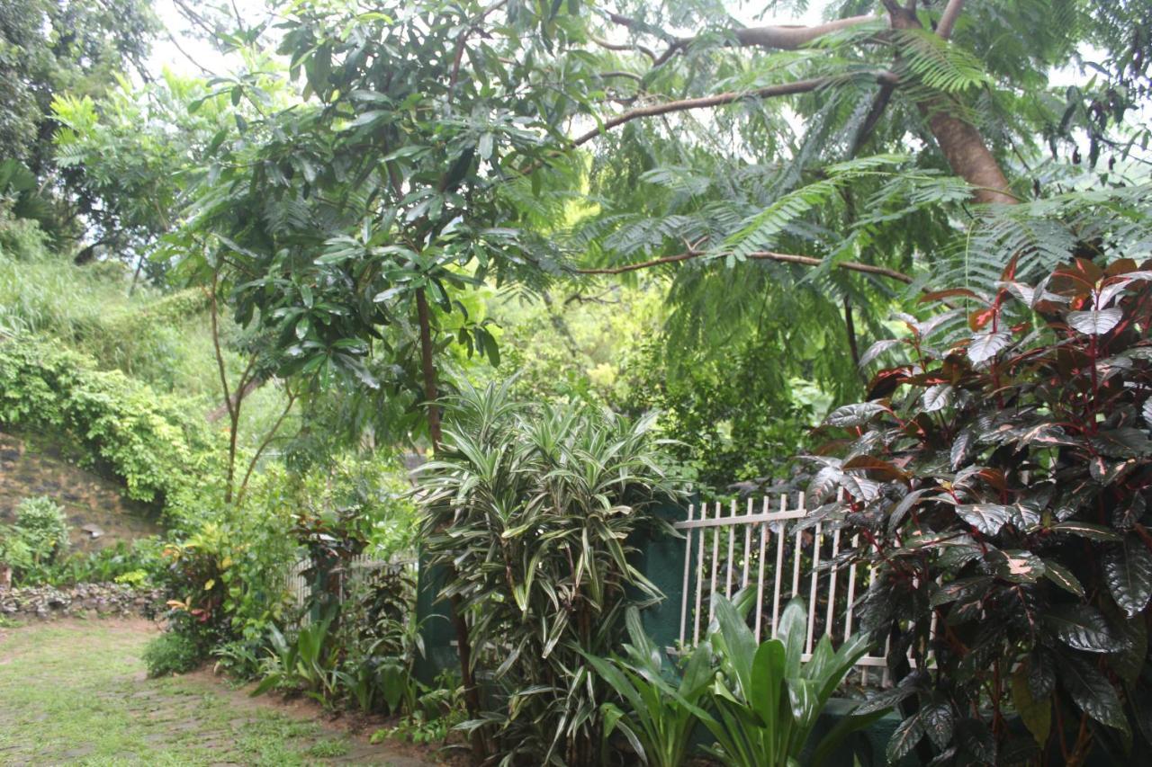 Lazy Bear Best Hostel In Kandy Luaran gambar