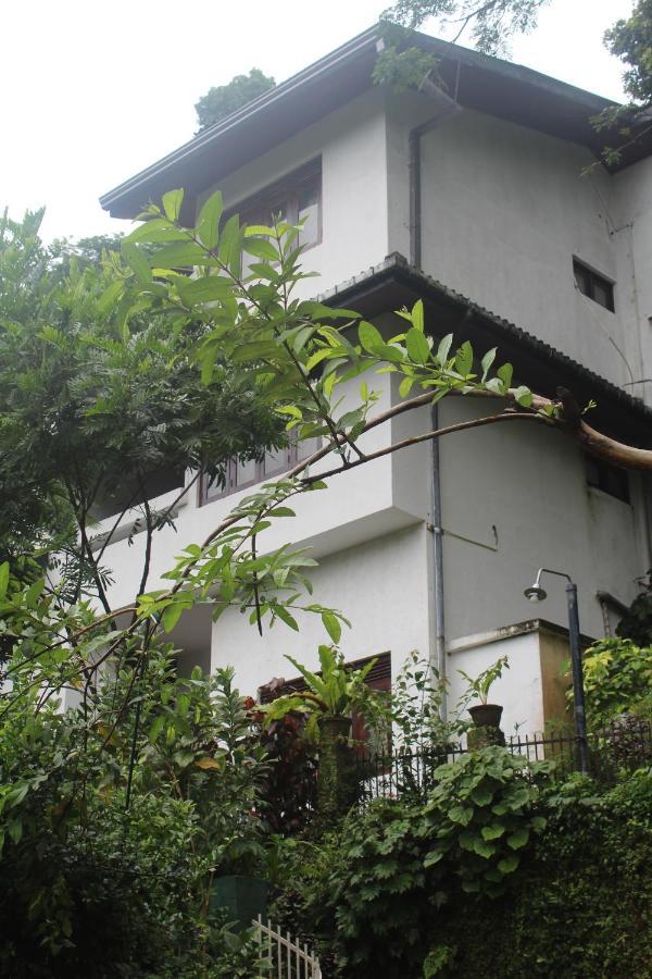 Lazy Bear Best Hostel In Kandy Luaran gambar