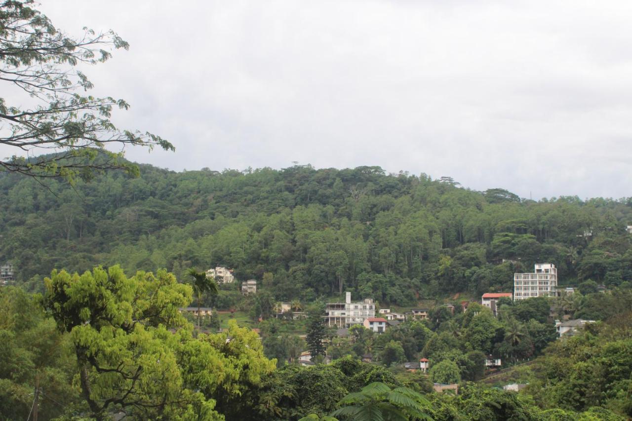 Lazy Bear Best Hostel In Kandy Luaran gambar