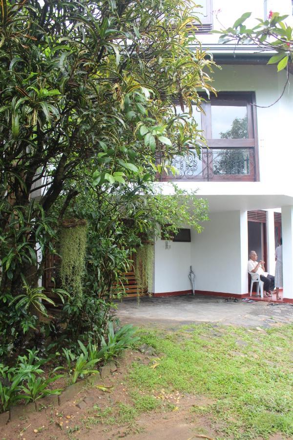 Lazy Bear Best Hostel In Kandy Luaran gambar