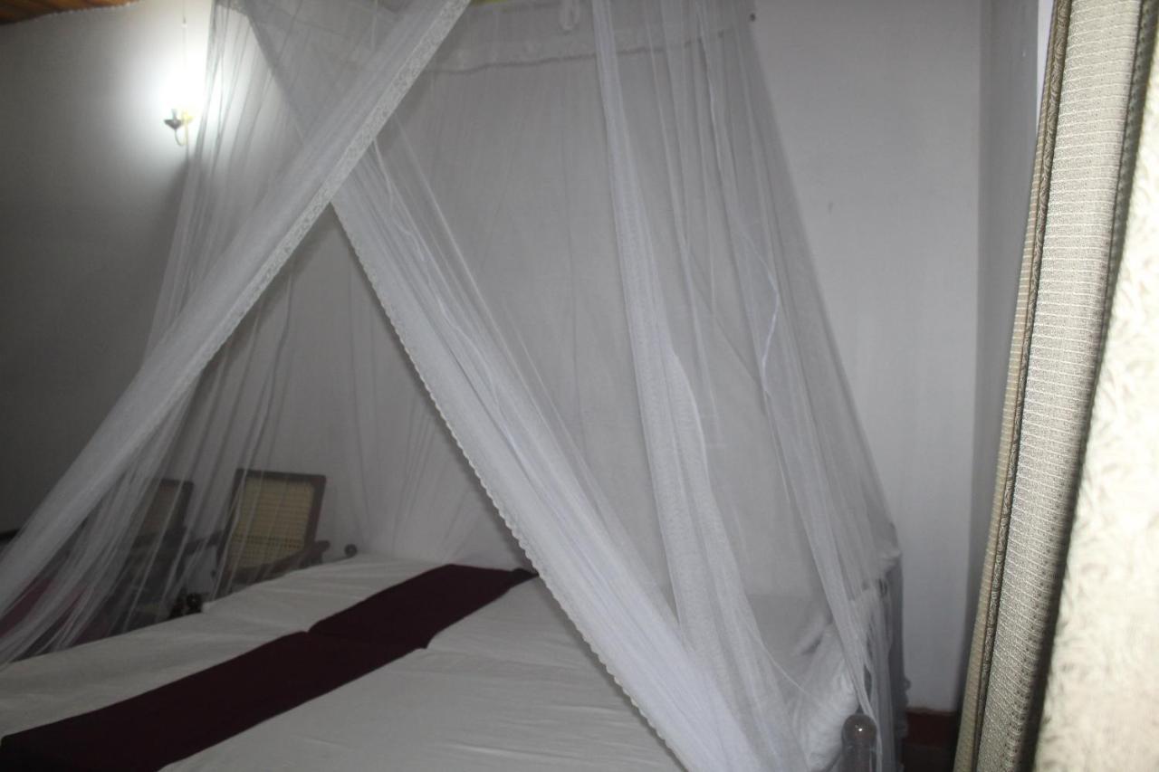 Lazy Bear Best Hostel In Kandy Luaran gambar