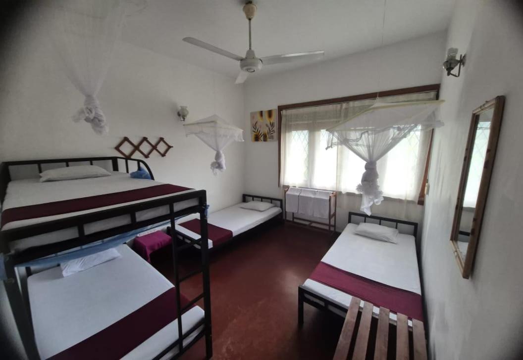 Lazy Bear Best Hostel In Kandy Luaran gambar