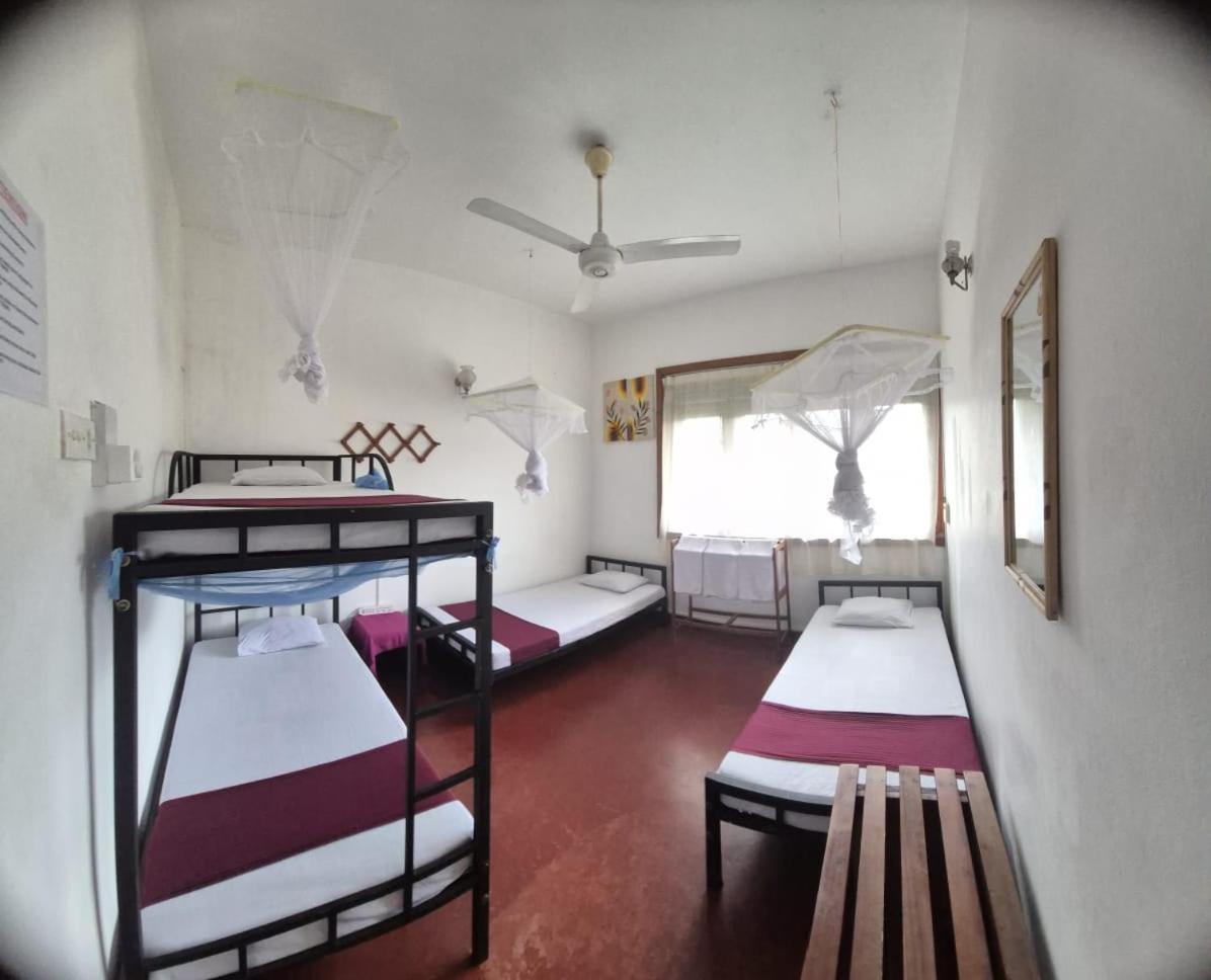 Lazy Bear Best Hostel In Kandy Luaran gambar