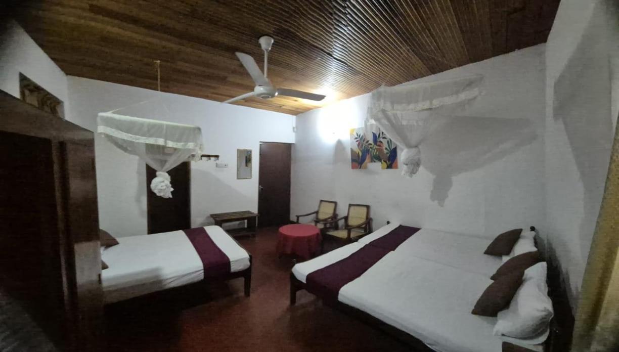 Lazy Bear Best Hostel In Kandy Luaran gambar
