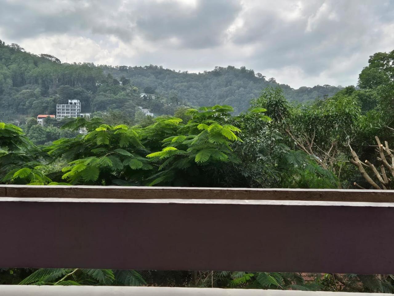 Lazy Bear Best Hostel In Kandy Luaran gambar