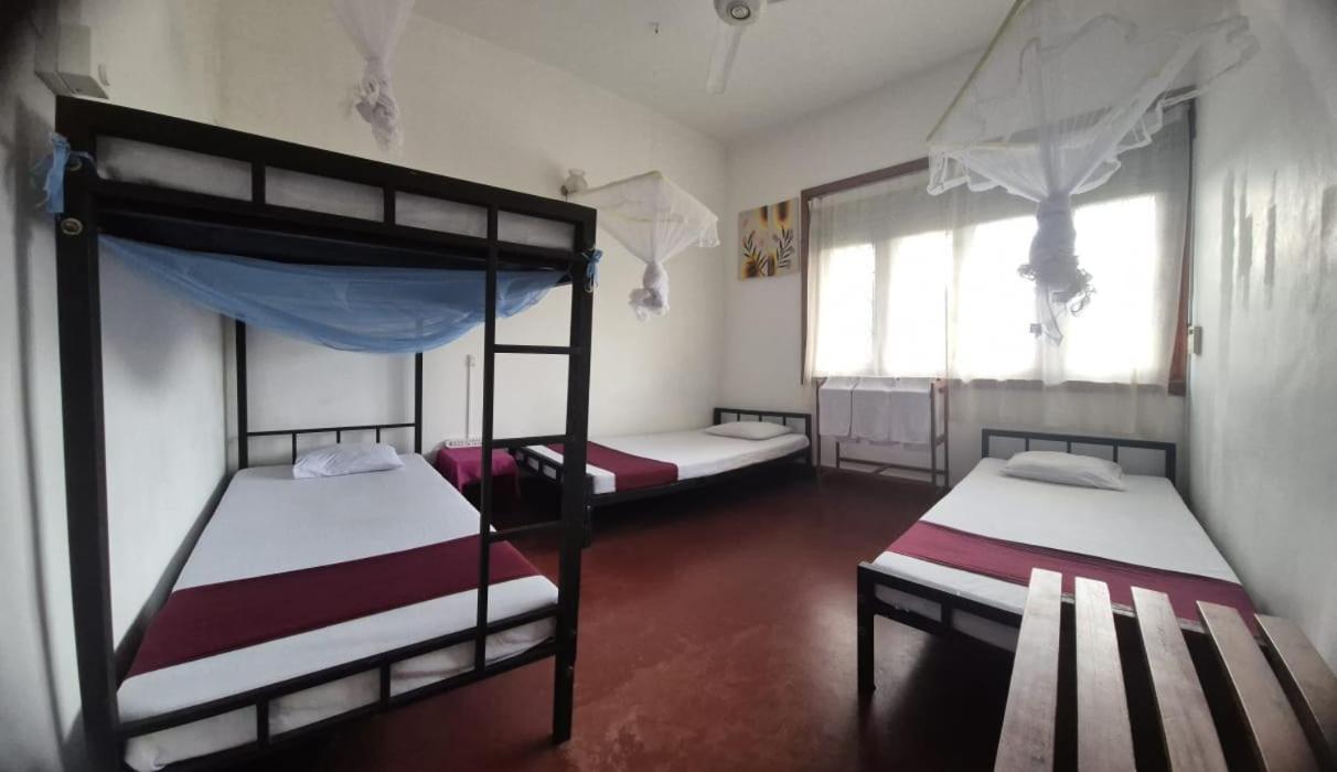 Lazy Bear Best Hostel In Kandy Luaran gambar