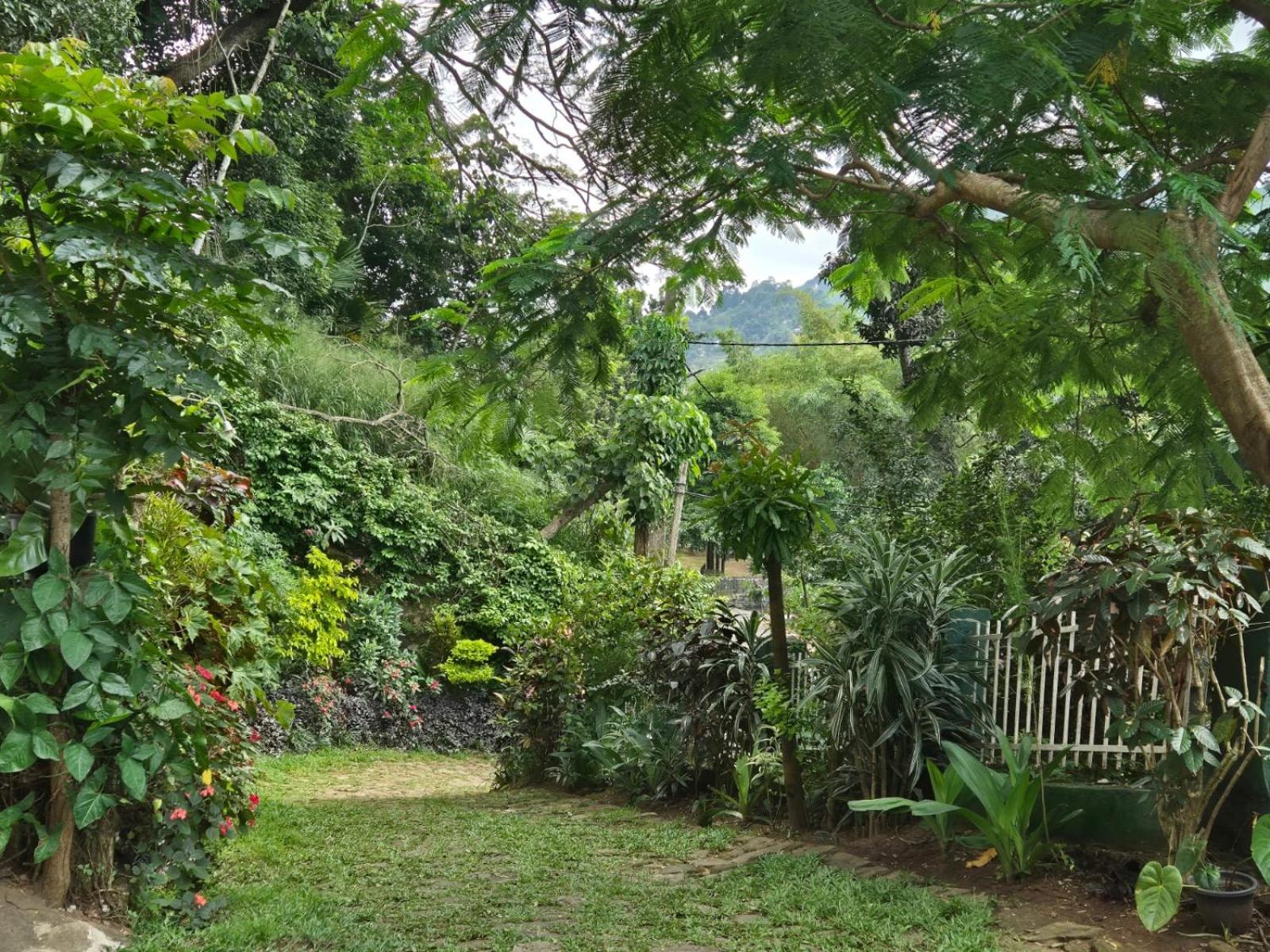Lazy Bear Best Hostel In Kandy Luaran gambar
